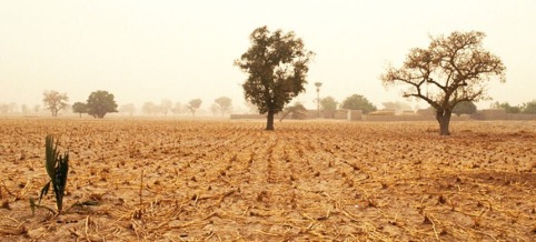 Already, global warming is sparking higher agricultural prices; increasing 'natural hazards' such as heat waves, droughts and floods; and exacerbating public health issues. (photo: World Bank/Flickr)